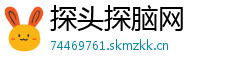 探头探脑网 探头探脑网